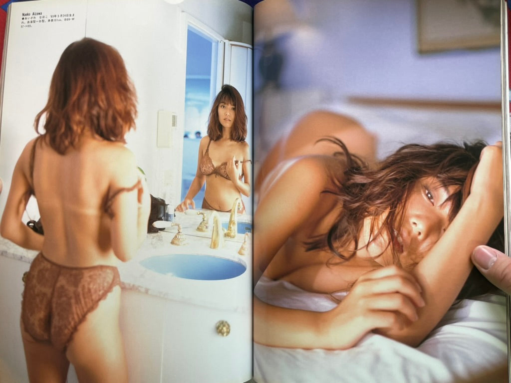 Wani Mook: Best Shot!! Vol. 2 (1994)