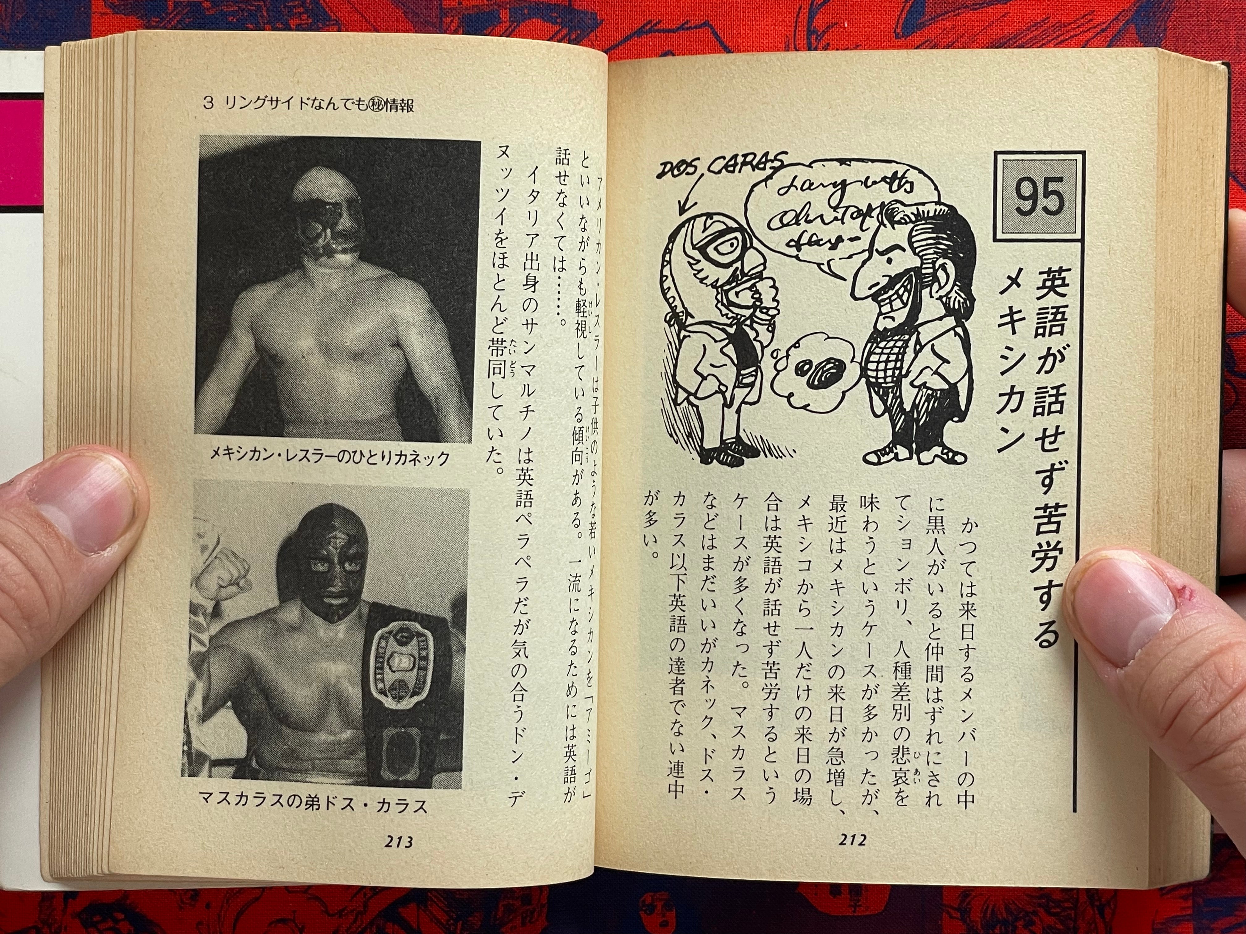 Pro Wrestling Everything Professor - bunko sized by Morioka Riu (1982)