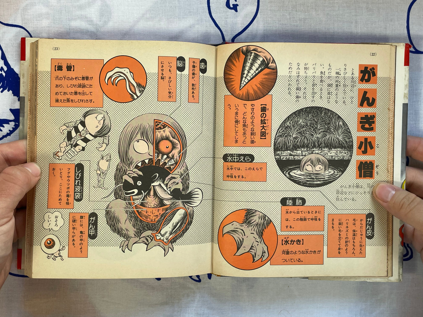 Yokai Pictorial - Hardcover by Mizuki Shigeru (1983) NEEDS DESCRIPTION