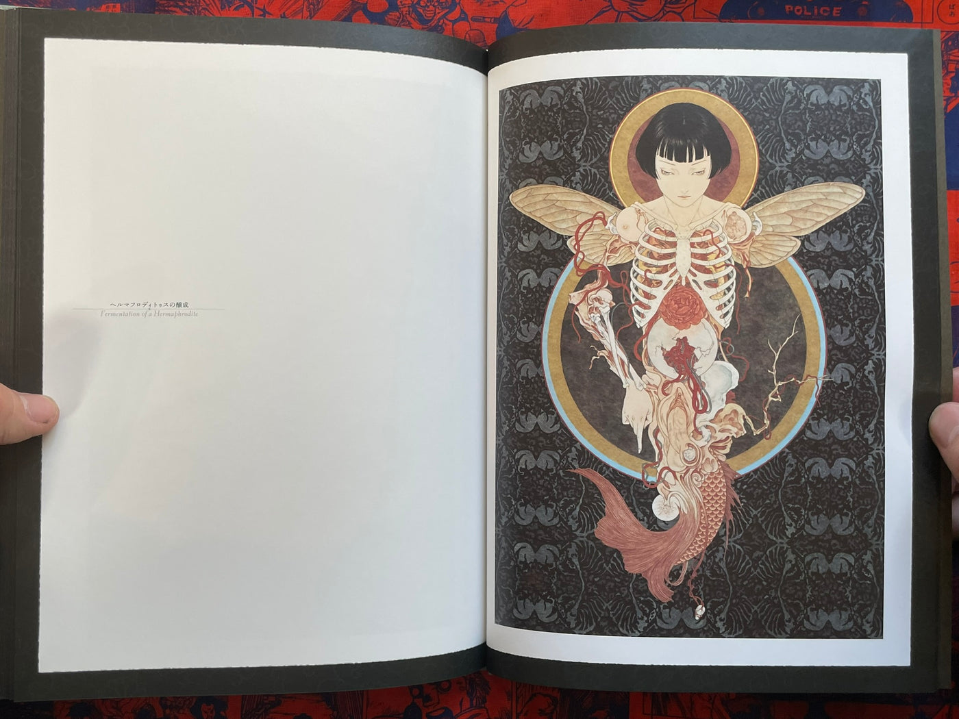 SIGNED Rib of a Hermaphrodite by Yamamoto Takato - Hardcover + Slipcover (2023)