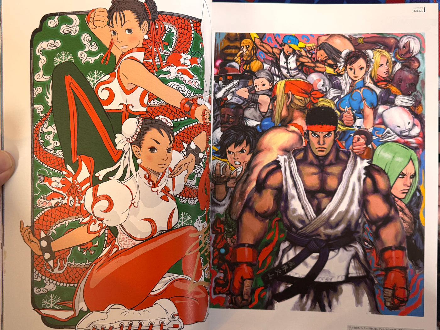 CAPCOM Street Fighters Art Works Supremacy (2009)