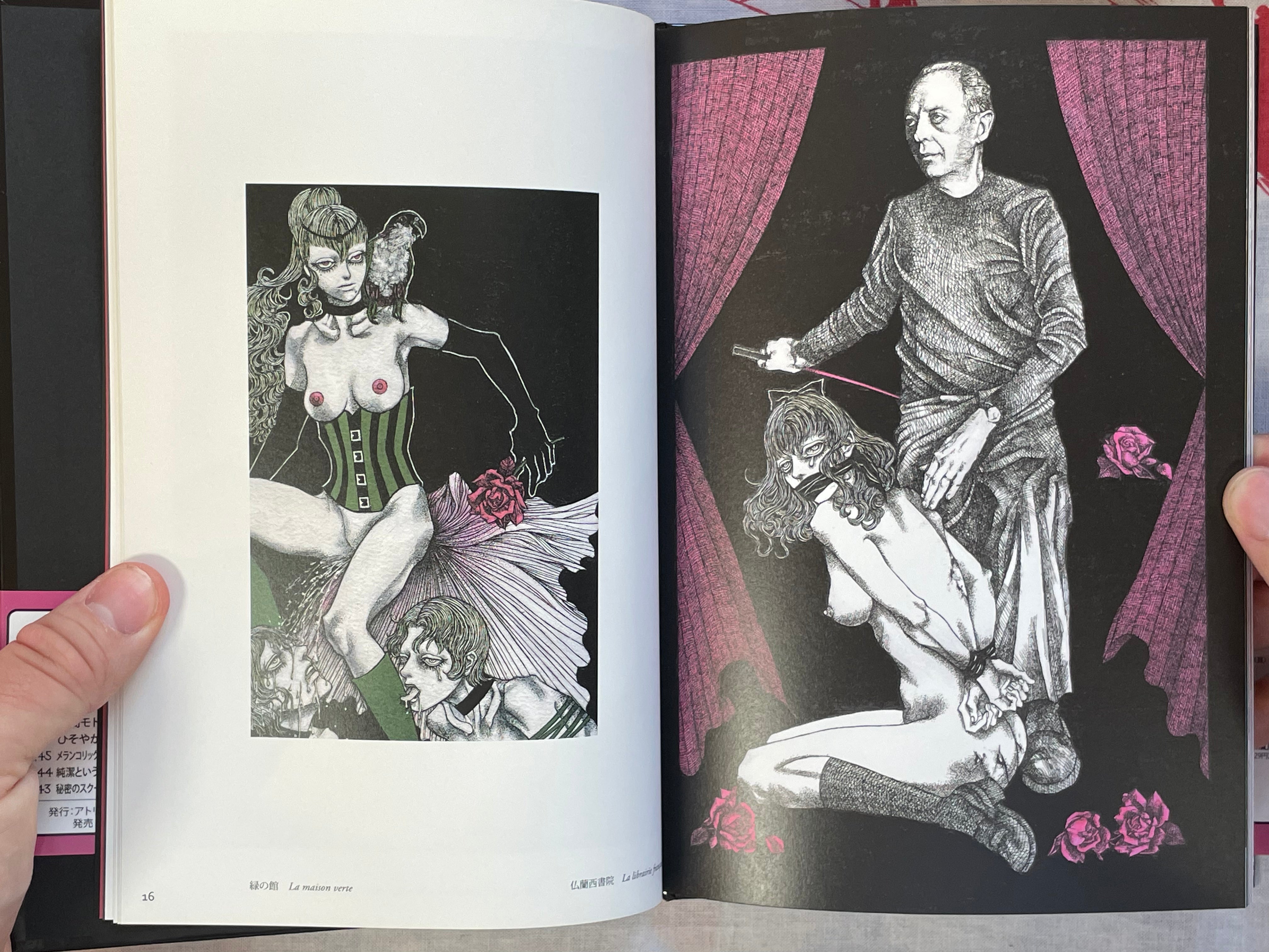 L'aventure de Mademoiselle Pipi by Saori Furukawa (2011)