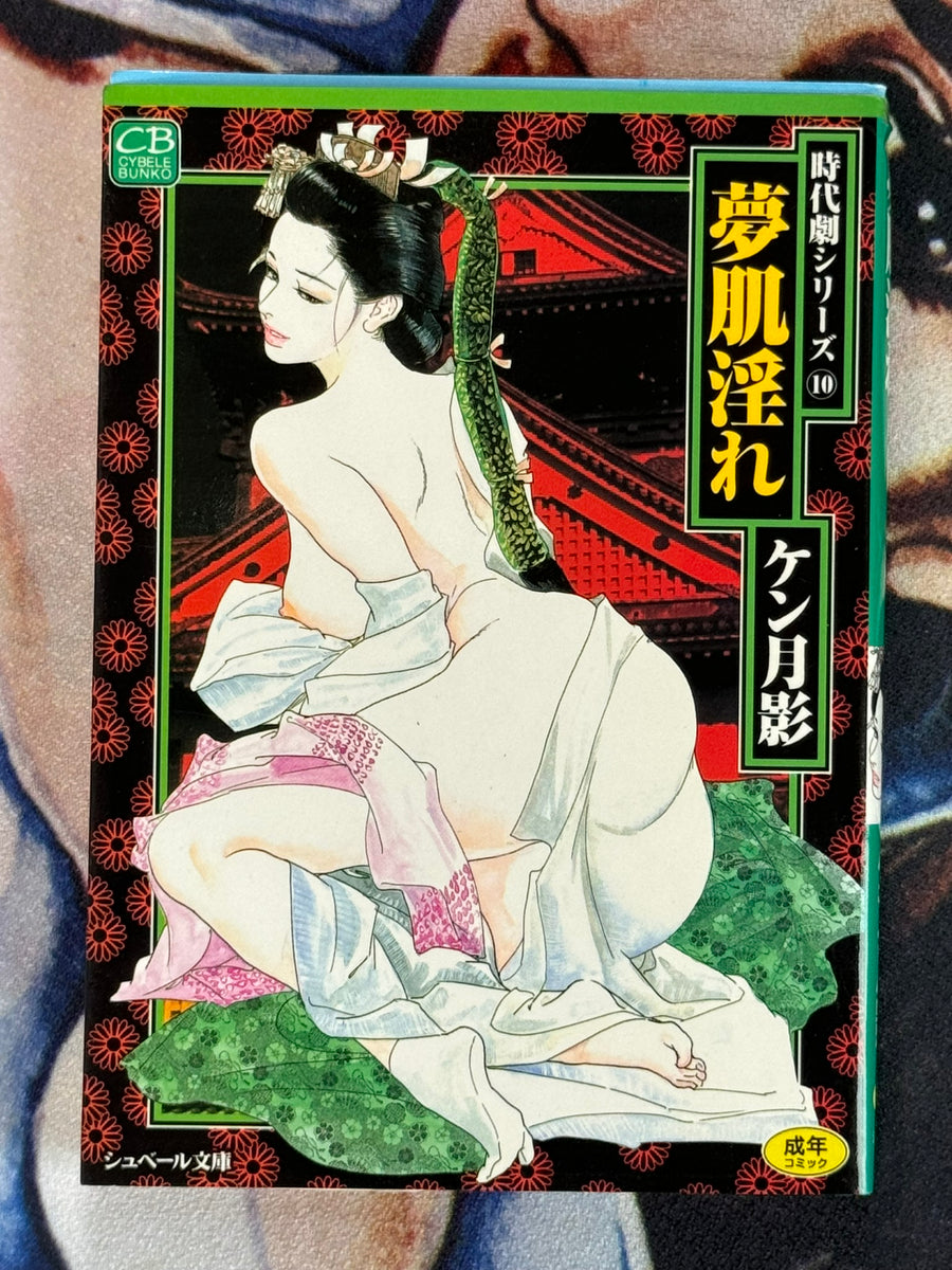 Dream Lewd Skin (Bunko Edition) by Ken Tsukikage (1998)