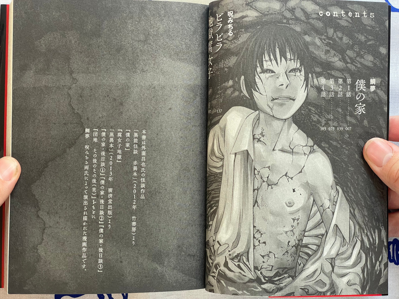 Red Book and Black Book Horror M Series by Noroi Michiru (2017)