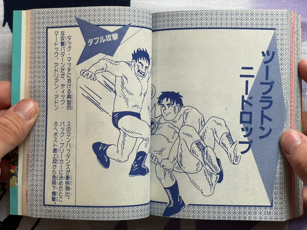 Pro Wrestling Finishing Move Encyclopedia - Bunko Edition (1984)
