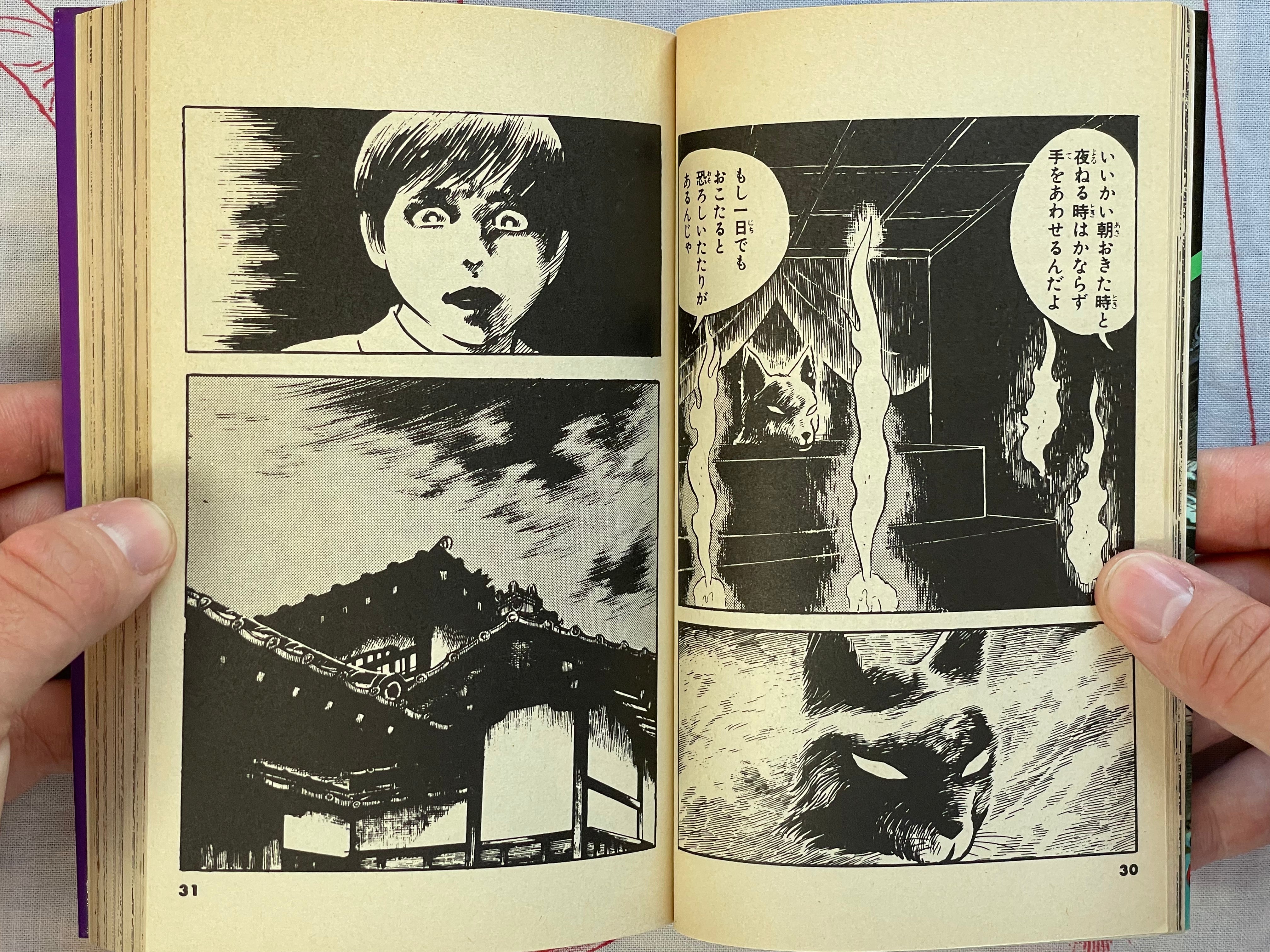 Evil Spirit Fox Mansion by Koga Shinichi (1976)