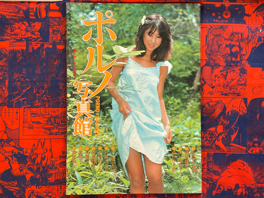 Porno Gallery (1981)
