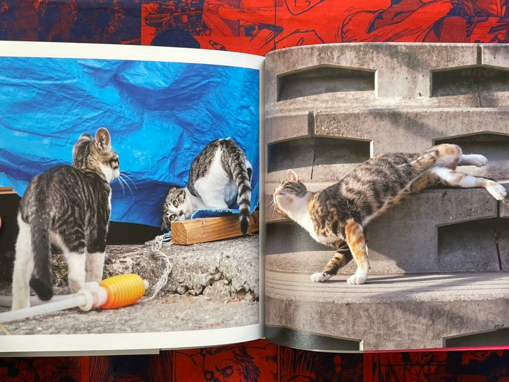 Too Desperate Cats - Single-Minded Edition by Oki Masayuki (2022)