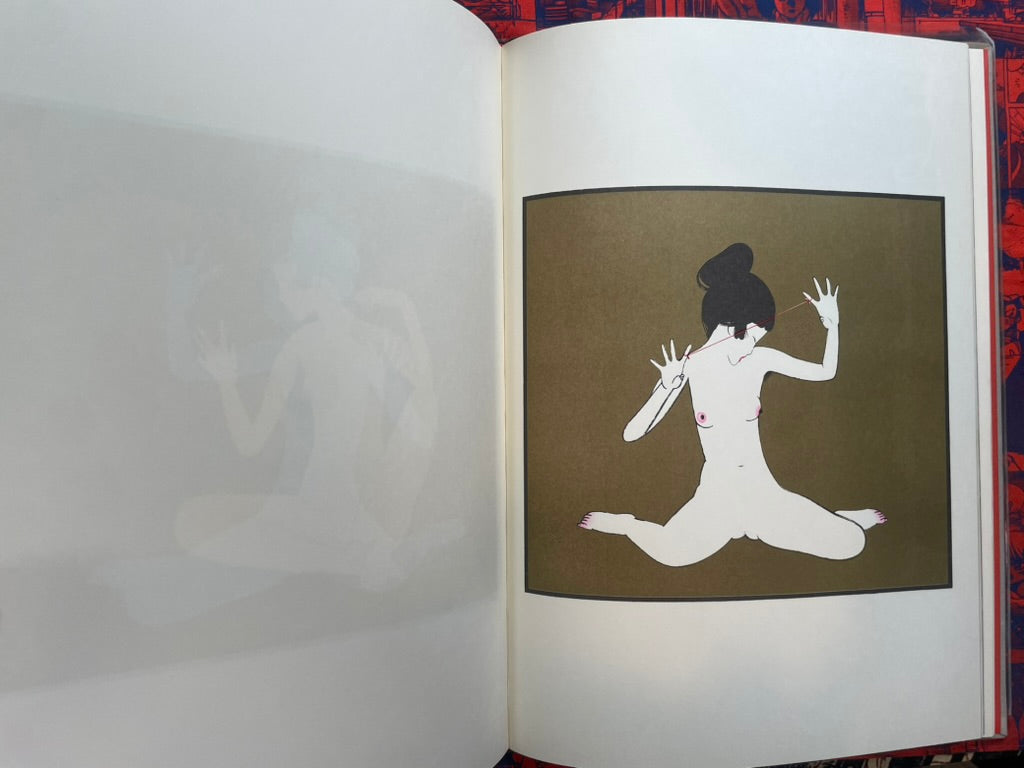 Minscape Beauty Illustrations - Oversized, Slipcover, Hardcover by Hayashi Seiichi (1976)