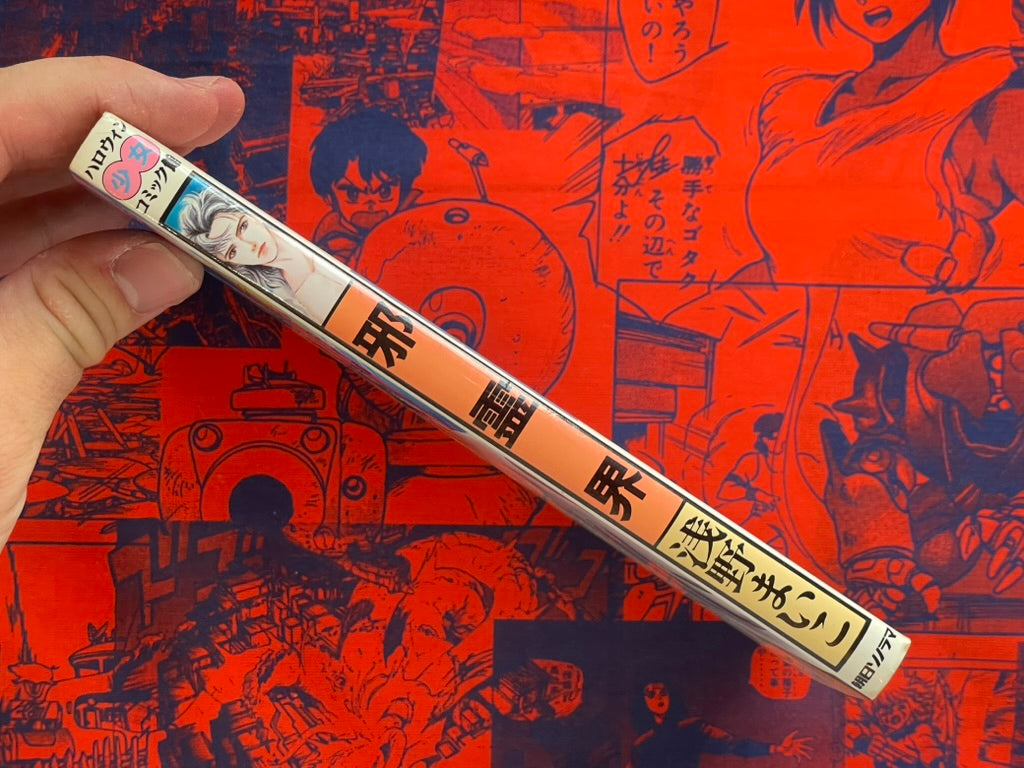 Evil Spirit World by Maiko Asano (1992)