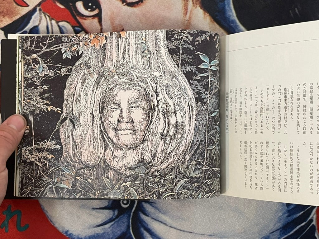 All Japan Kamisama Hyakkai by Mizuki Shigeru (2010)