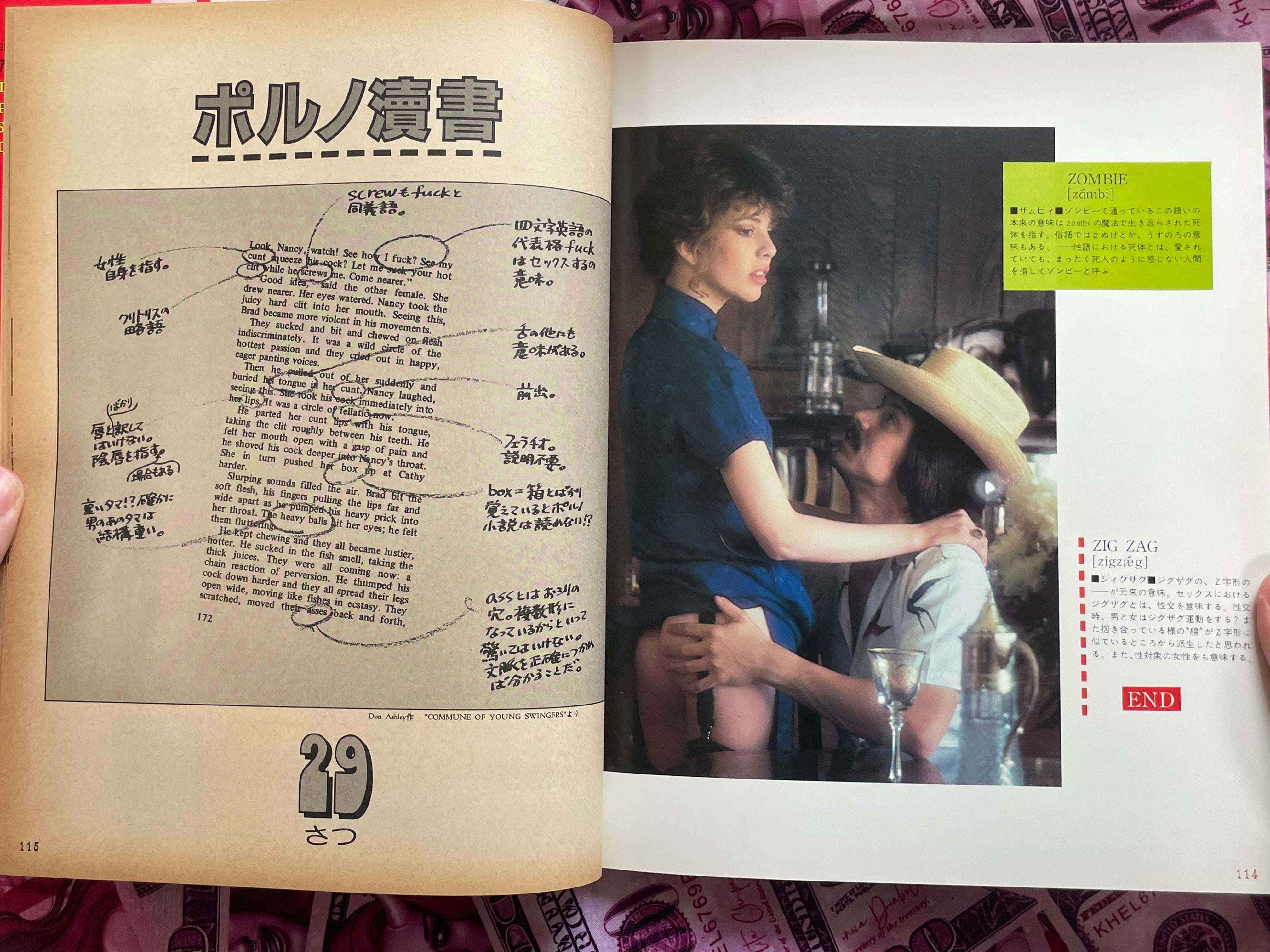 America: The Pictorial Slang Dictionary - Magazine Edition (1980)