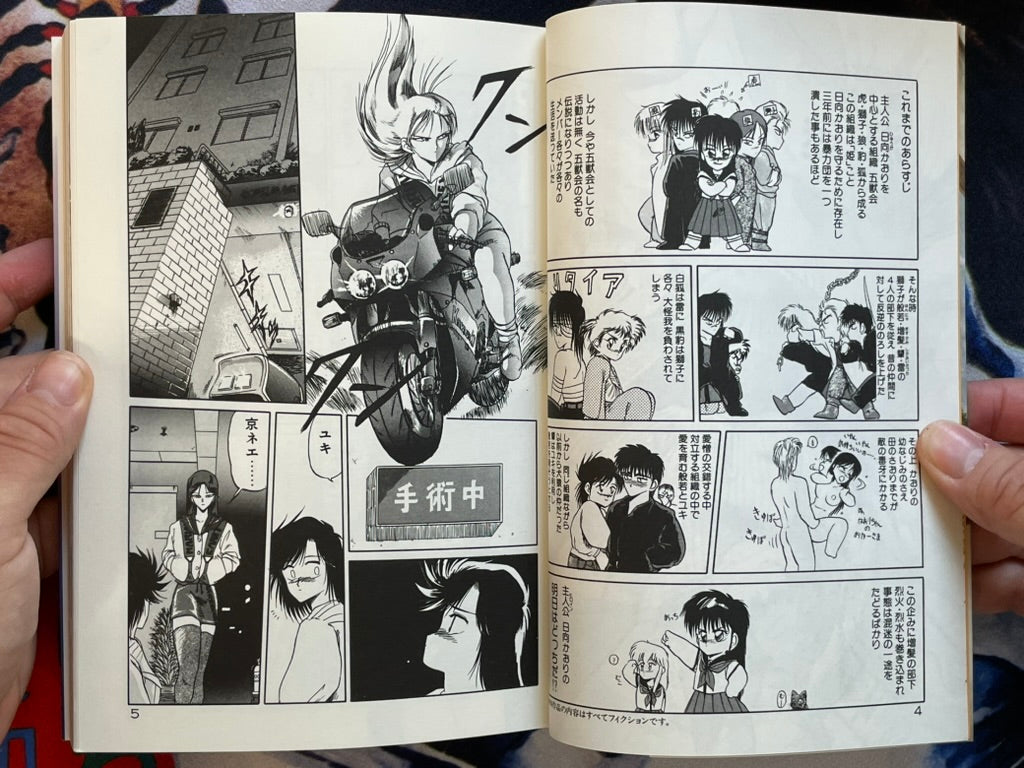 Rape + 2πr: Fierce Battle by Tennoji Kitsune (1993)