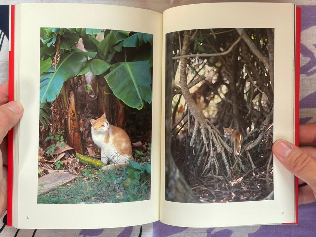 Okinawa Cats: Sentimental Journey (2006)