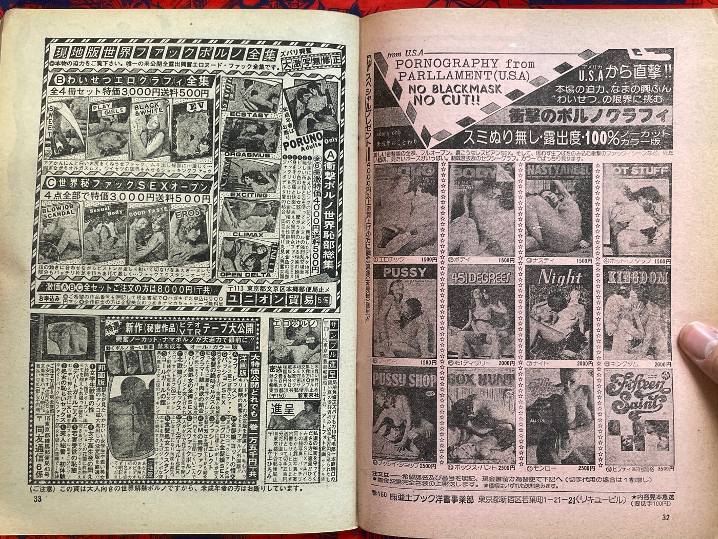 Goraku Paradise Magazine (11/1980)