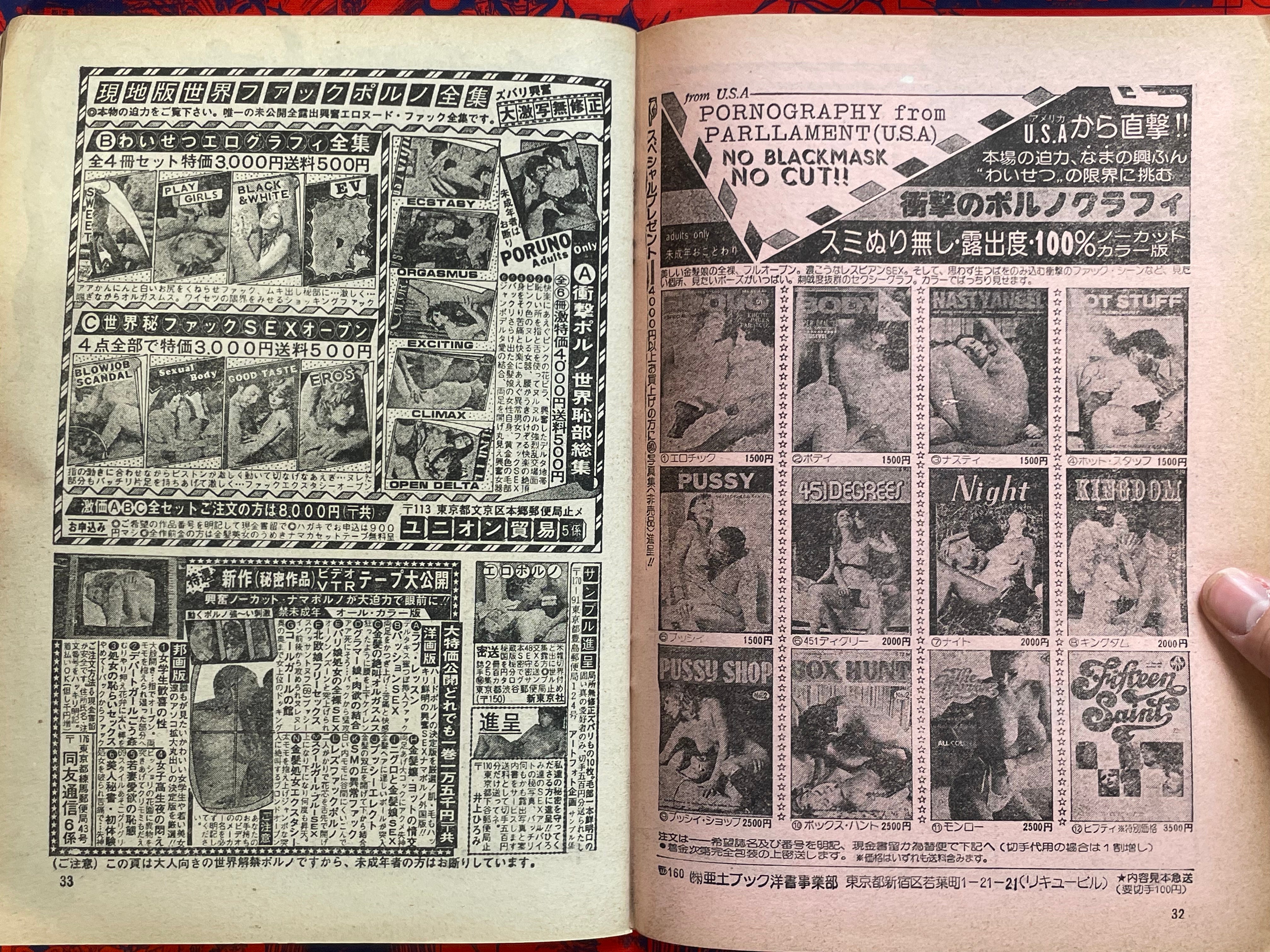 Goraku Paradise Magazine (11/1980)
