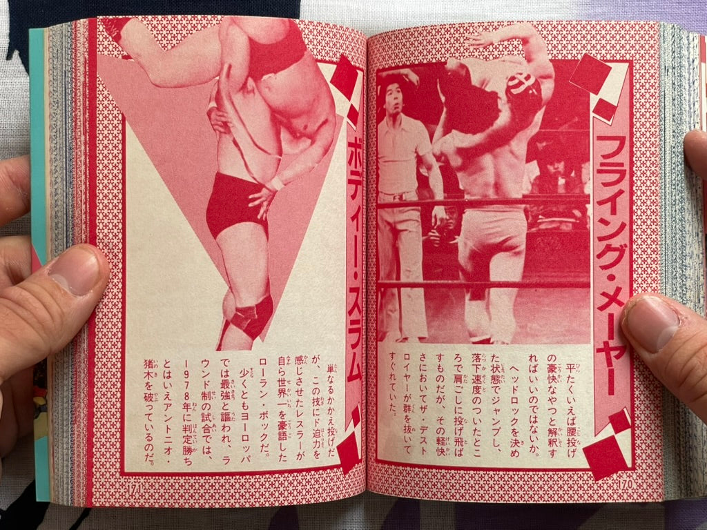 Pro Wrestling Finishing Move Encyclopedia - Bunko Edition (1984)
