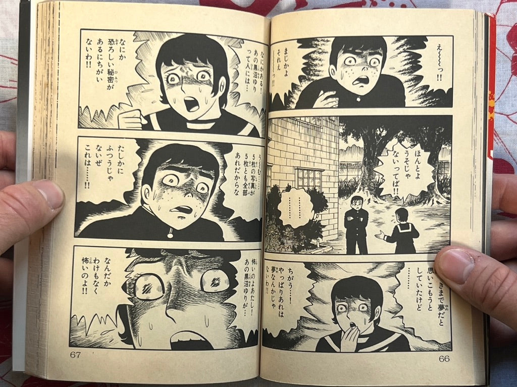 Lullaby of the Dead by Hideshi Hino (1988)