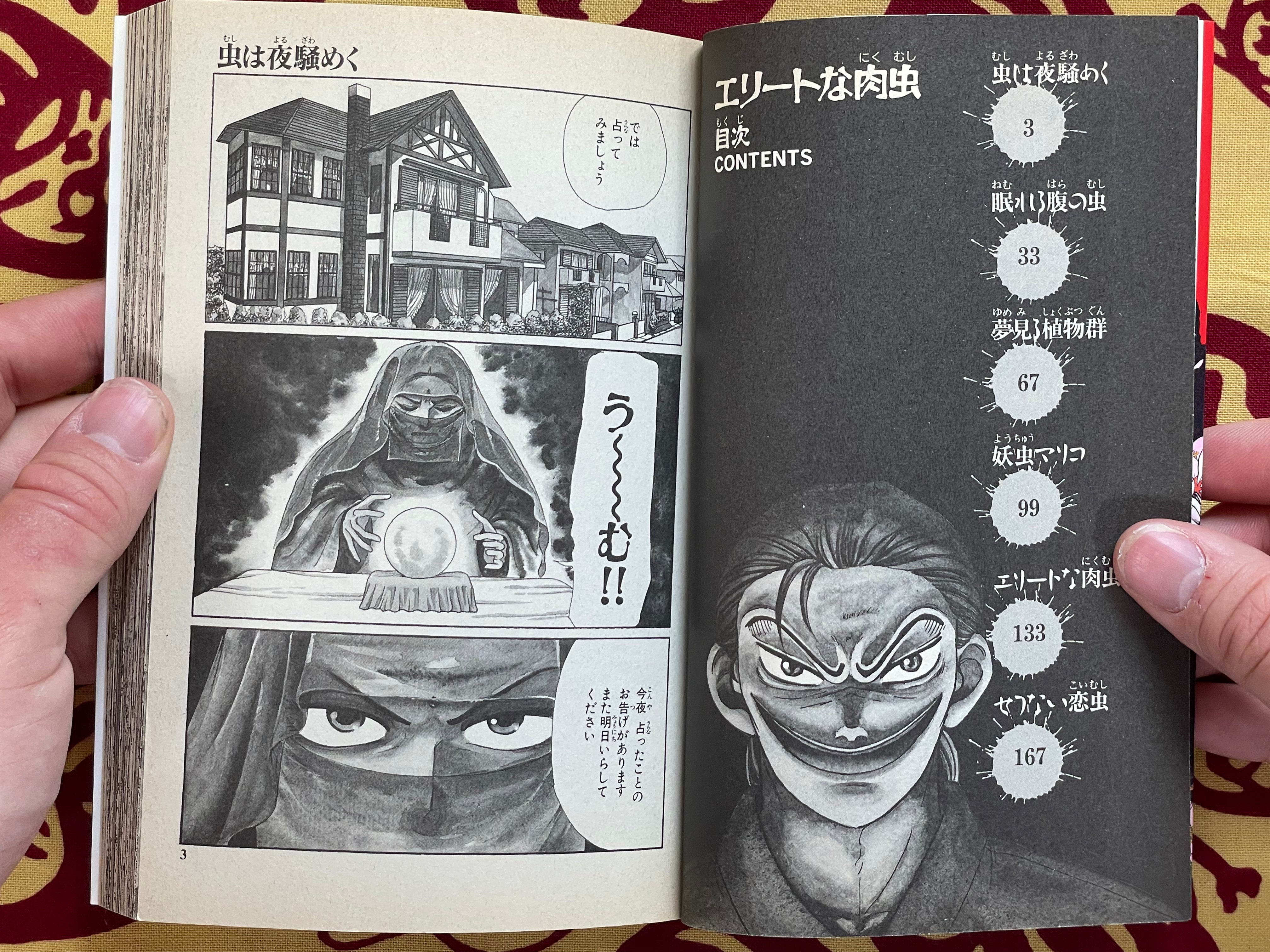 Elite Meat Insect by Kaburagi Saiko (1995)