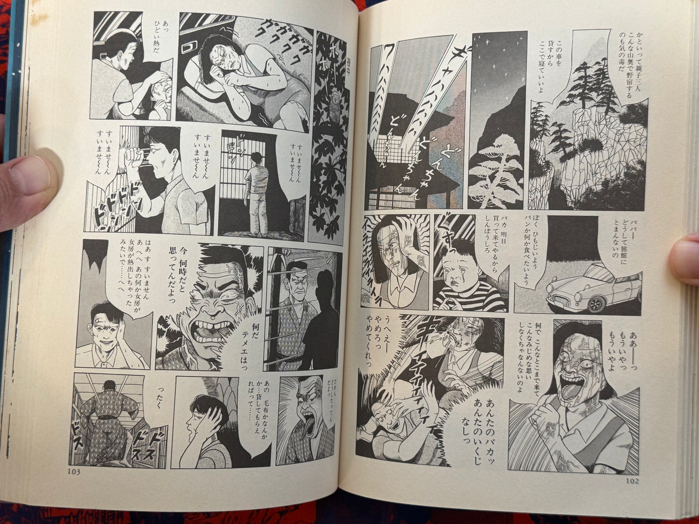 Hiyapaka by Hajime Yamano (1996)