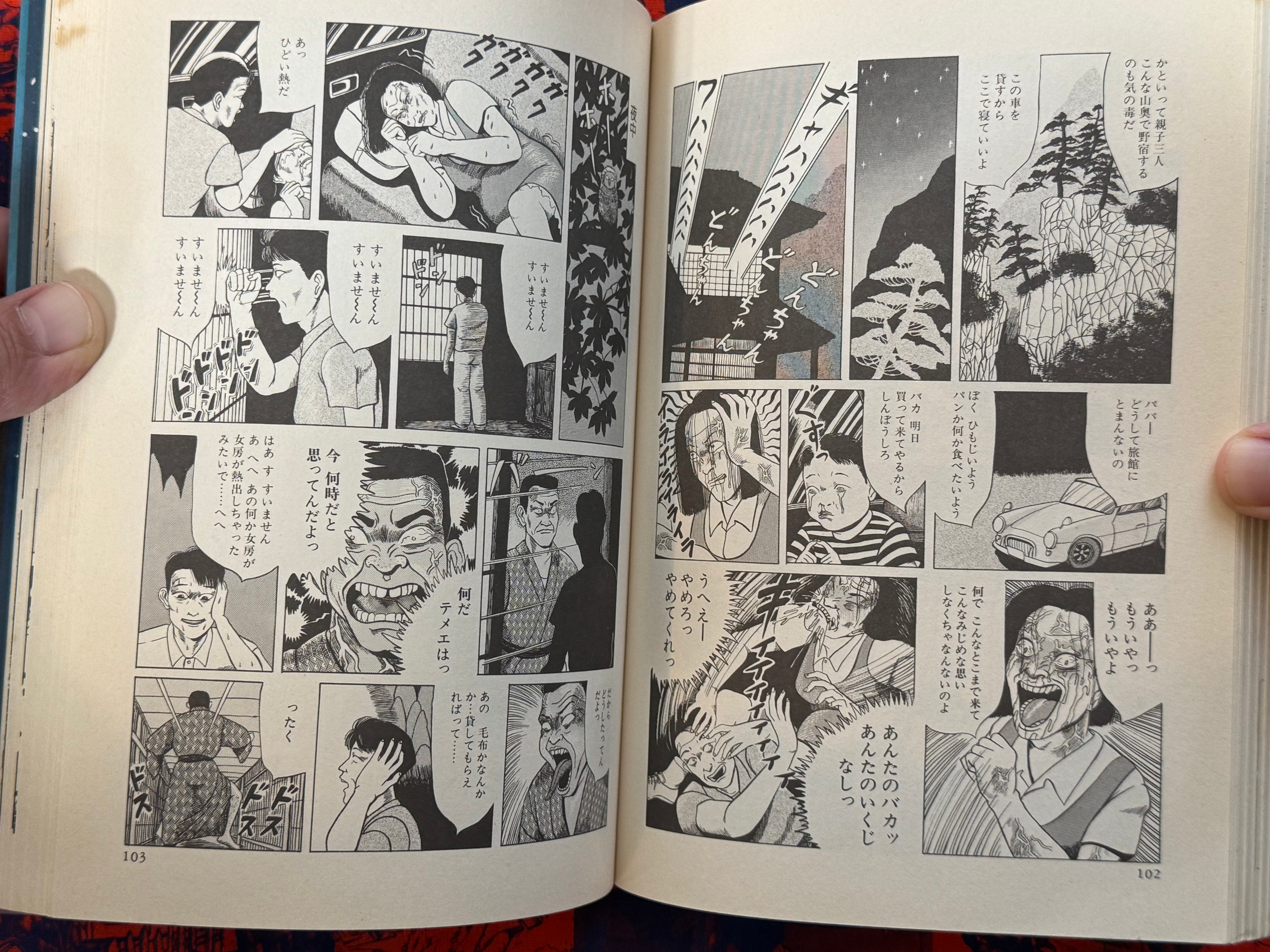 Hiyapaka by Hajime Yamano (1996)