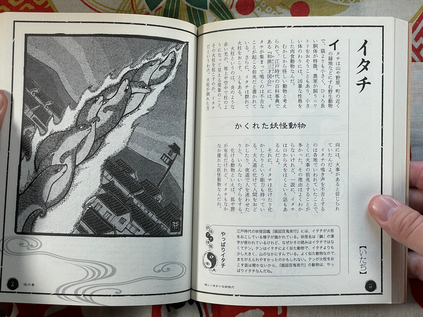 Yokai Cave by Kenji Murakami & Shinbun Udagawa (2011)