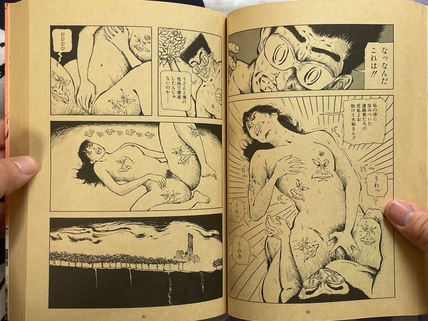 Spider's Silk Fil D'Araignee by Hiromi Hiraguchi (1986)