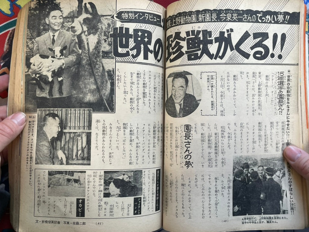 Weekly Shonen Sunday Magazine Vol. 17 (5/1966)
