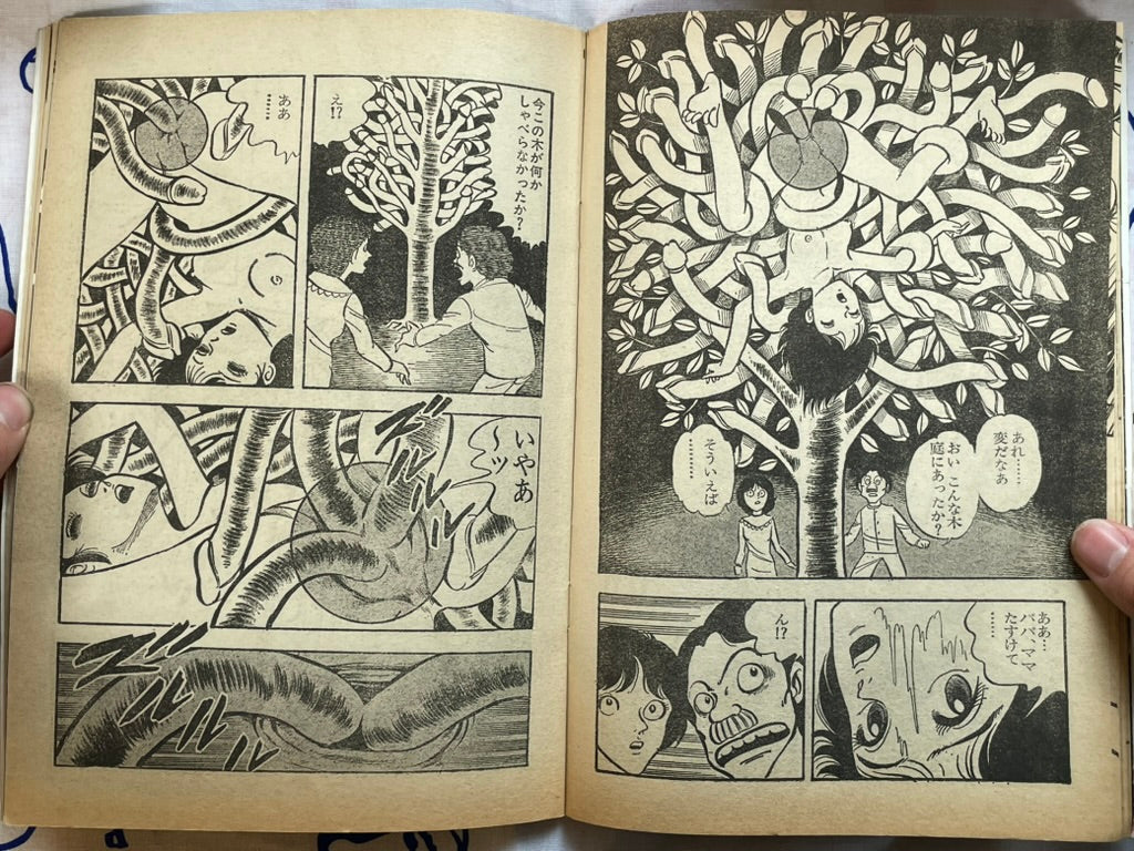 Alice Special (1970s?)