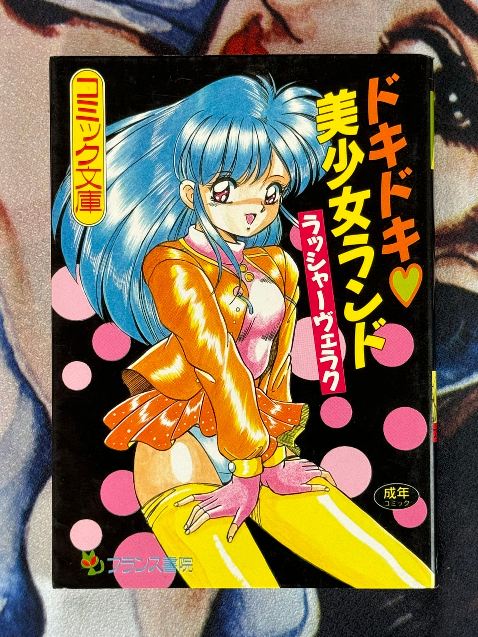 Exciting Bishojo Land (Bunko Edition) by Lasher Verak (1994)