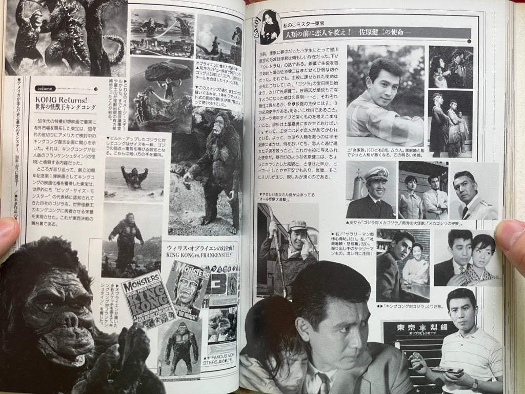 The Godzilla Chronicles: The History of TOHO Fantastic Movies 1935-1993 (1994)