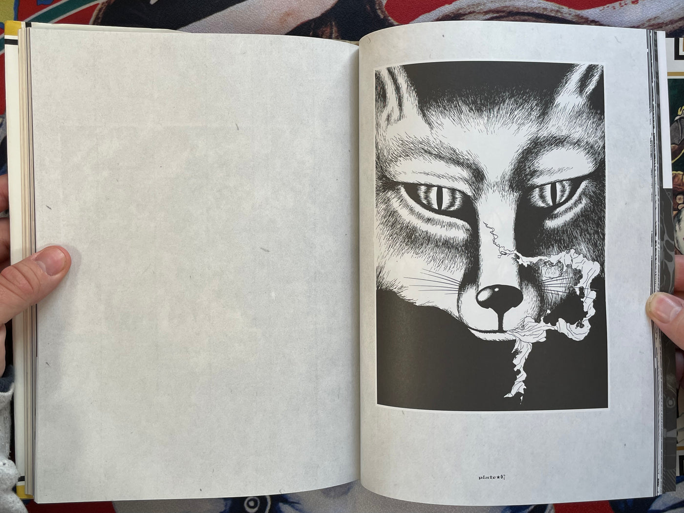 Maruograph I & II Set by Suehiro Maruo (1996)