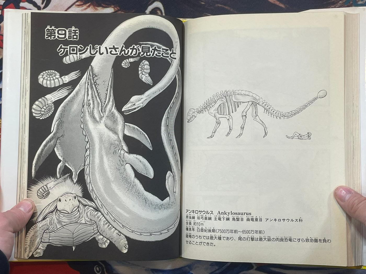 The Dinosaurs Stories "Kyoryudaikiko" by Kishi Daimuro (1989)