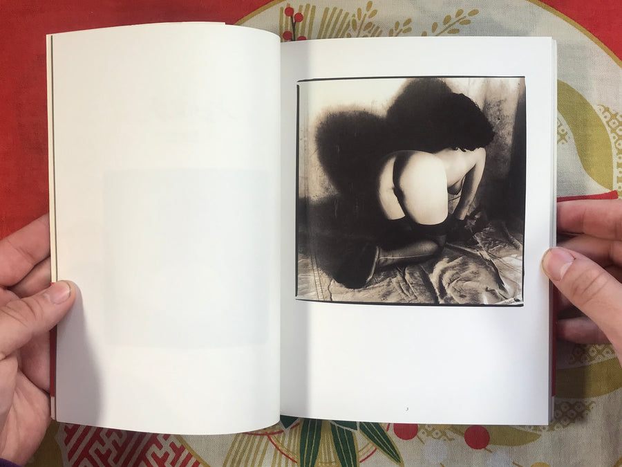 10 Years La Reminiscene De Dix Ans Photo Book by Masaaki Toyoura (1995)