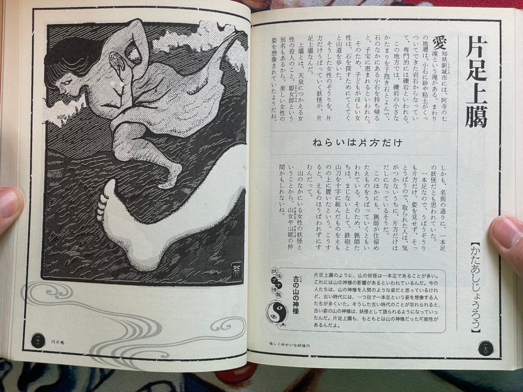 Yokai Hole by Kenji Murakami & Shinbun Udagawa & Yukio Amano (2011)