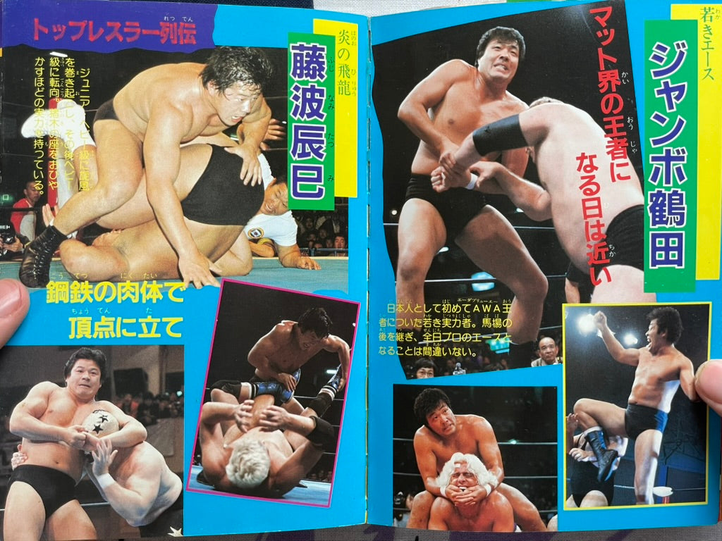 Definitive Edition: Introduction to Pro Wrestling by Big Wrestler (1984)