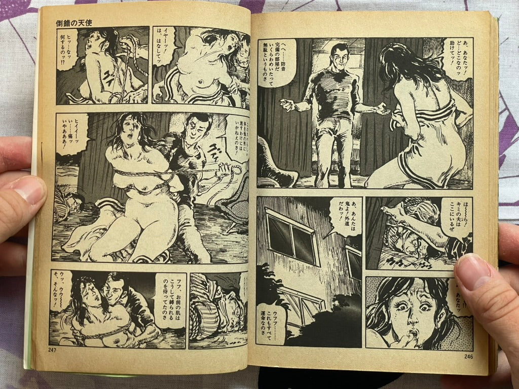 Lecherous Diary by Kasama Shiro (1978)