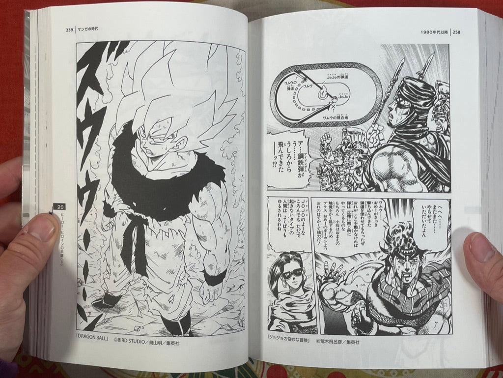 The Manga Age: Everything from Tezuka Osamu to Evangelion (1998)