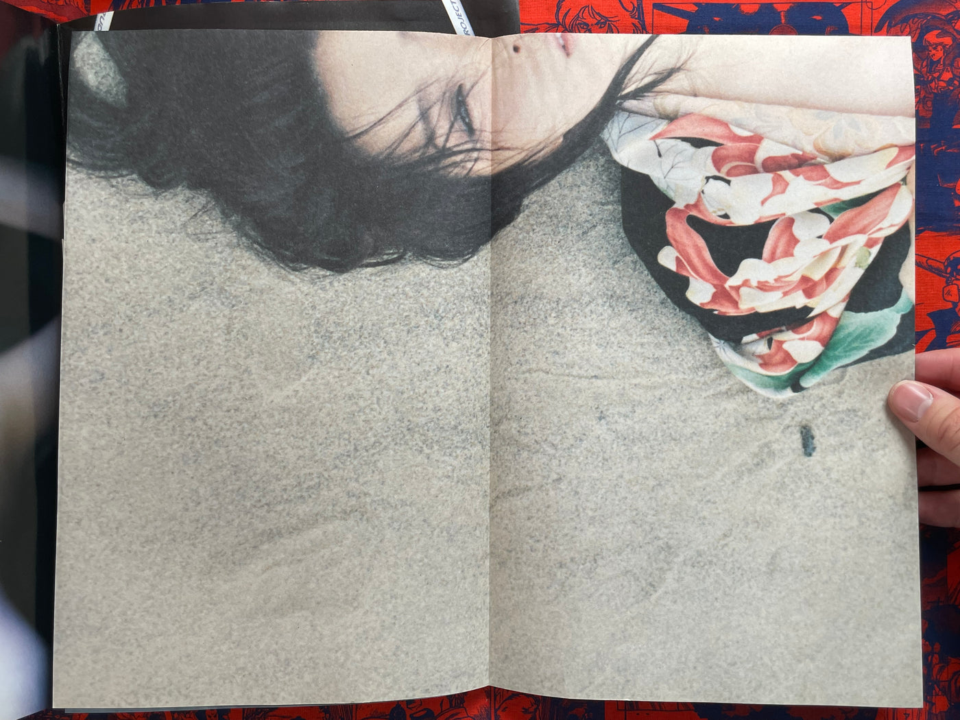 Monthly Shincho Mook: Seto Saki II (2009)