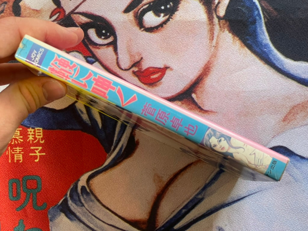 Moan at the Whip by Sugawara Takuya (1981)