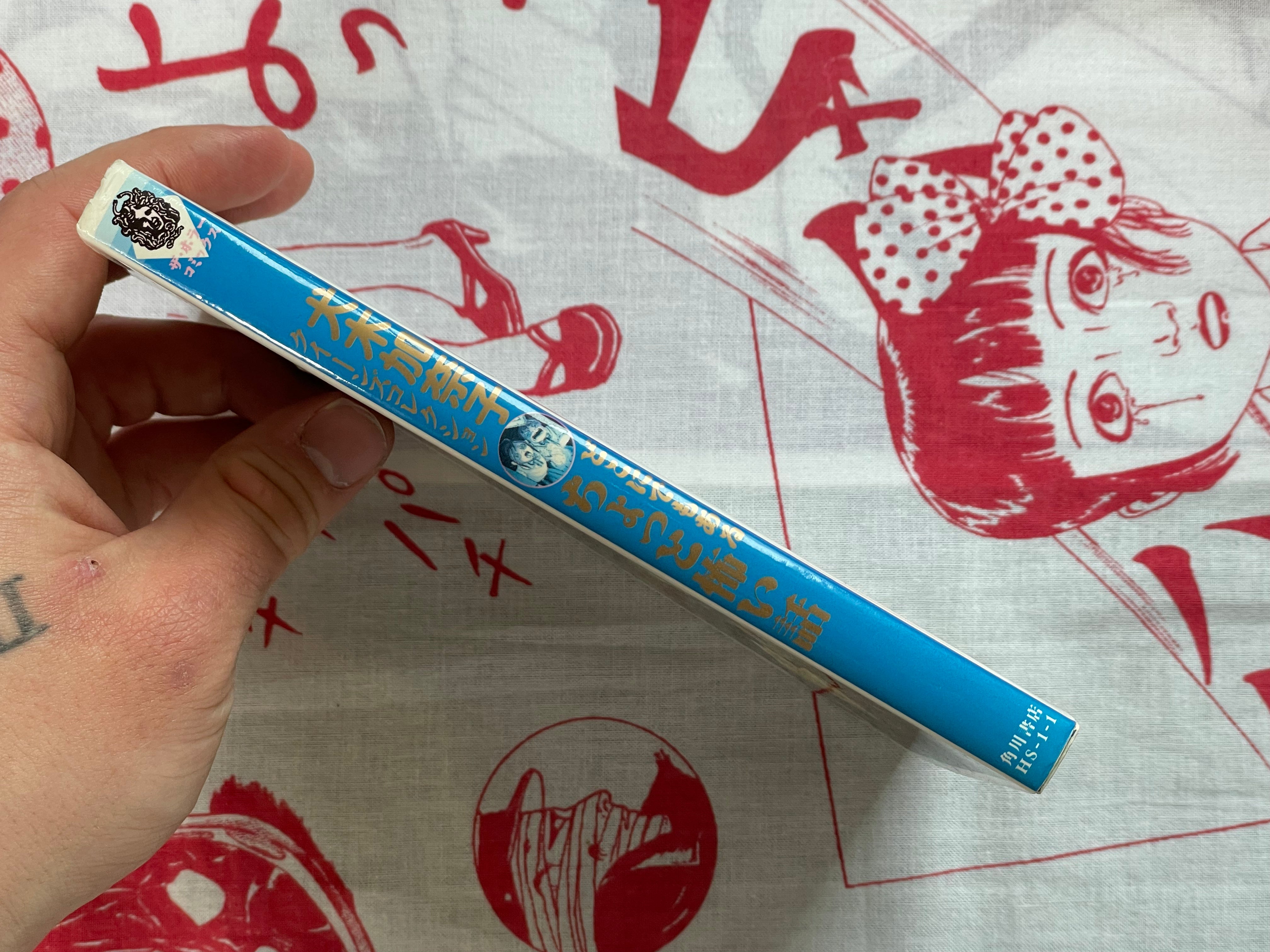 Slightly Scary Stories you can Find Anywhere by Kanako Inuki (1998)