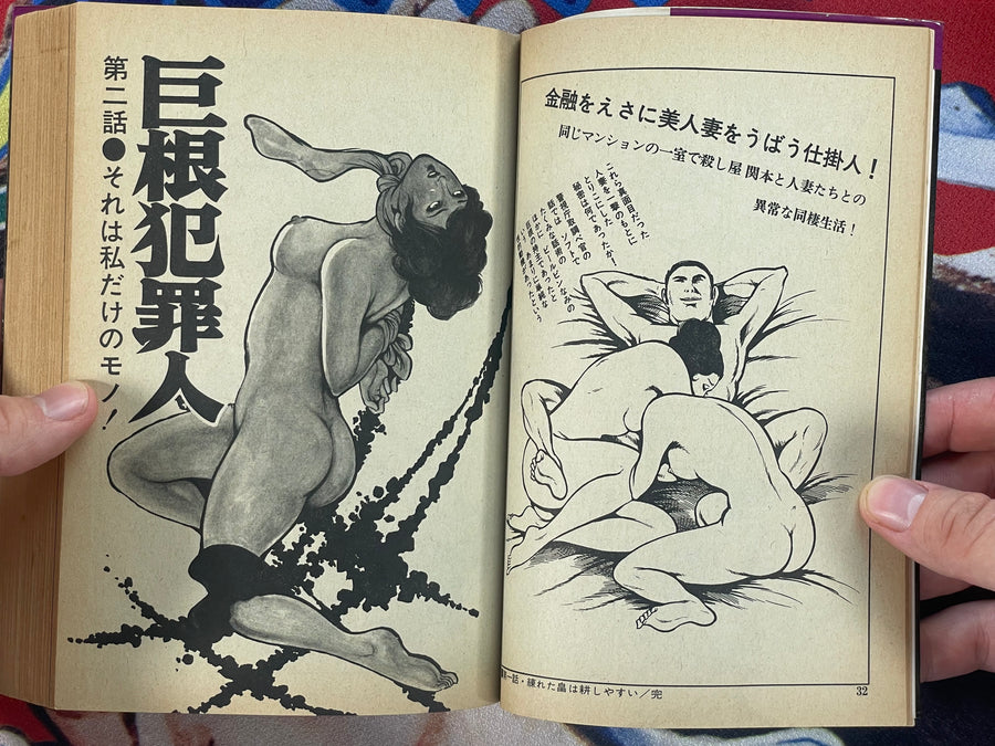 Big Dick Criminal by Hikaru Takamura (1975)
