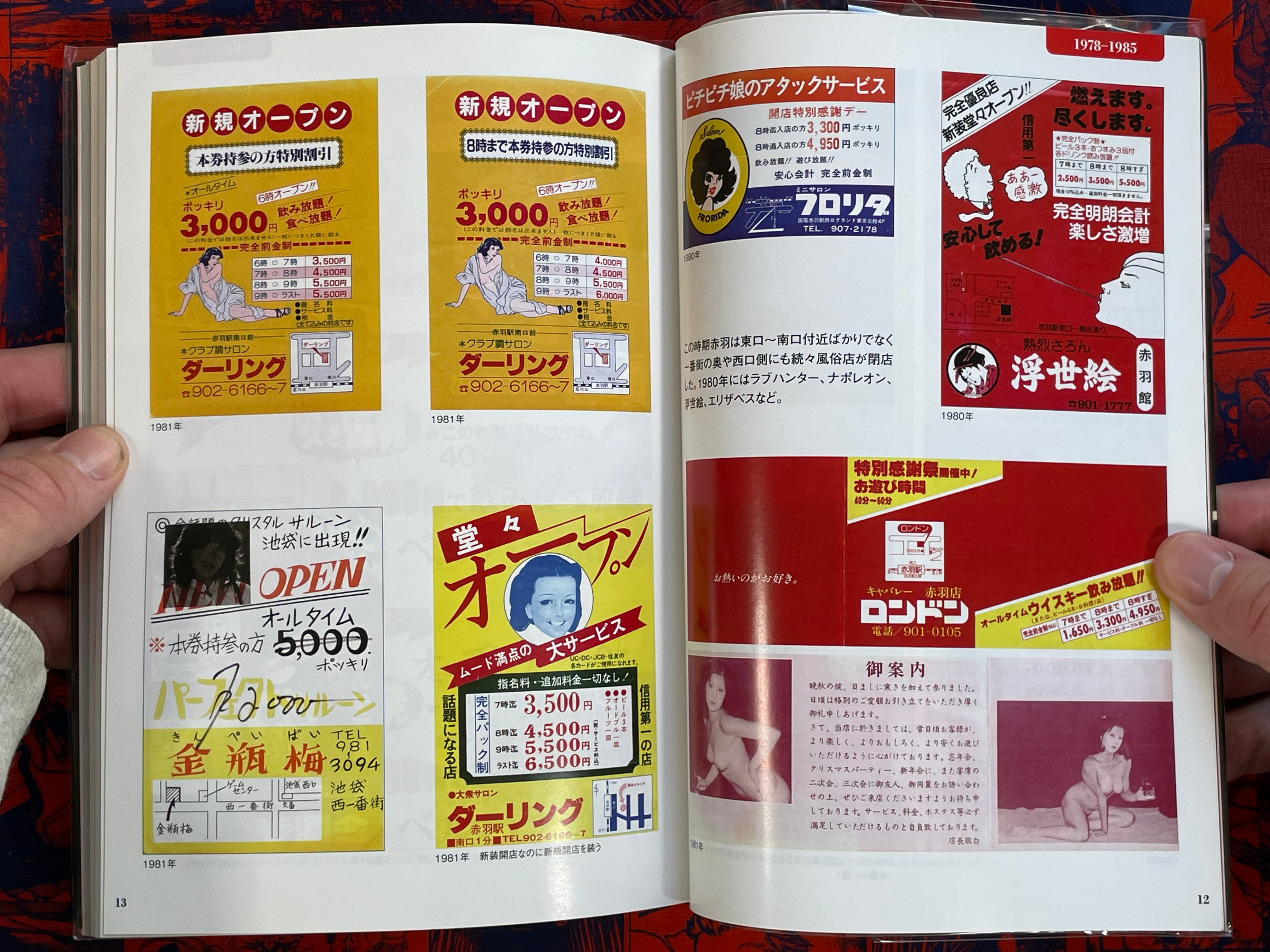 Akabane Station Front Pink Flyers: Sex Industry Region History (2018)