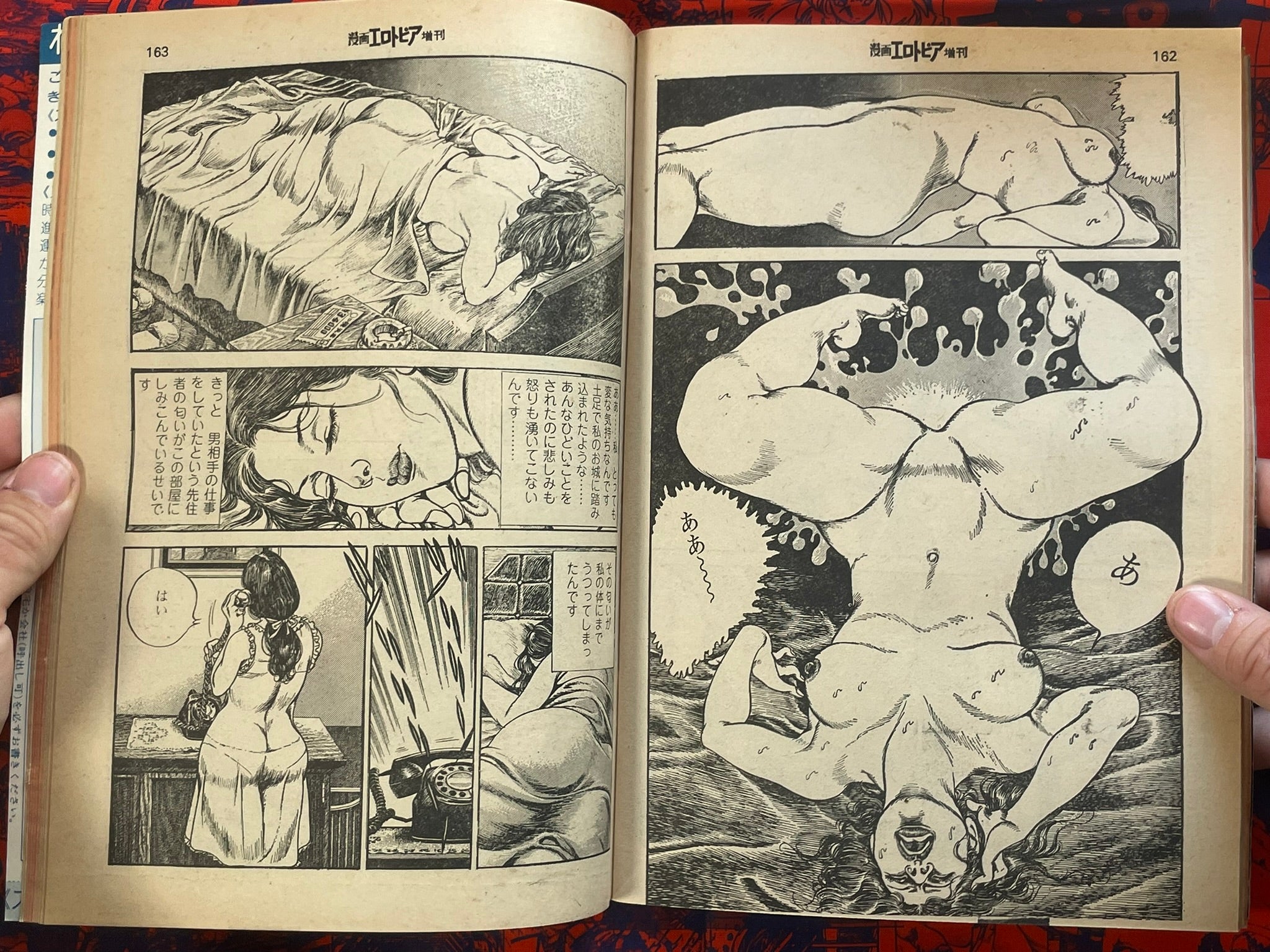 Love and Dreams: Manga Erotopia Extra Edition (8/1977)