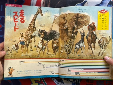 Why What Comparing Speed - Hardcover + Slipcover by Shogakukan (1972)