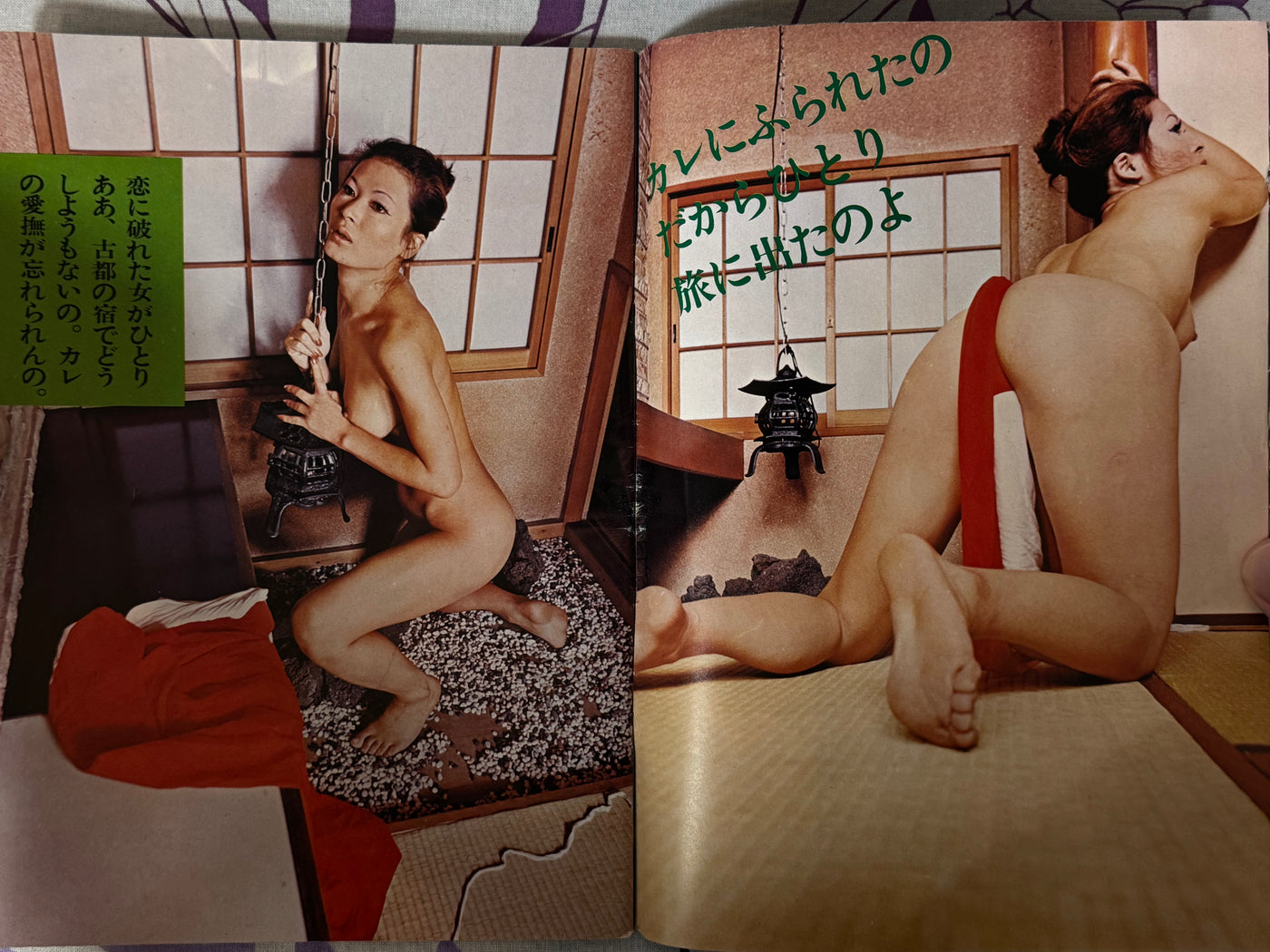 X Magazine Dokkiri Edition (1970s?)