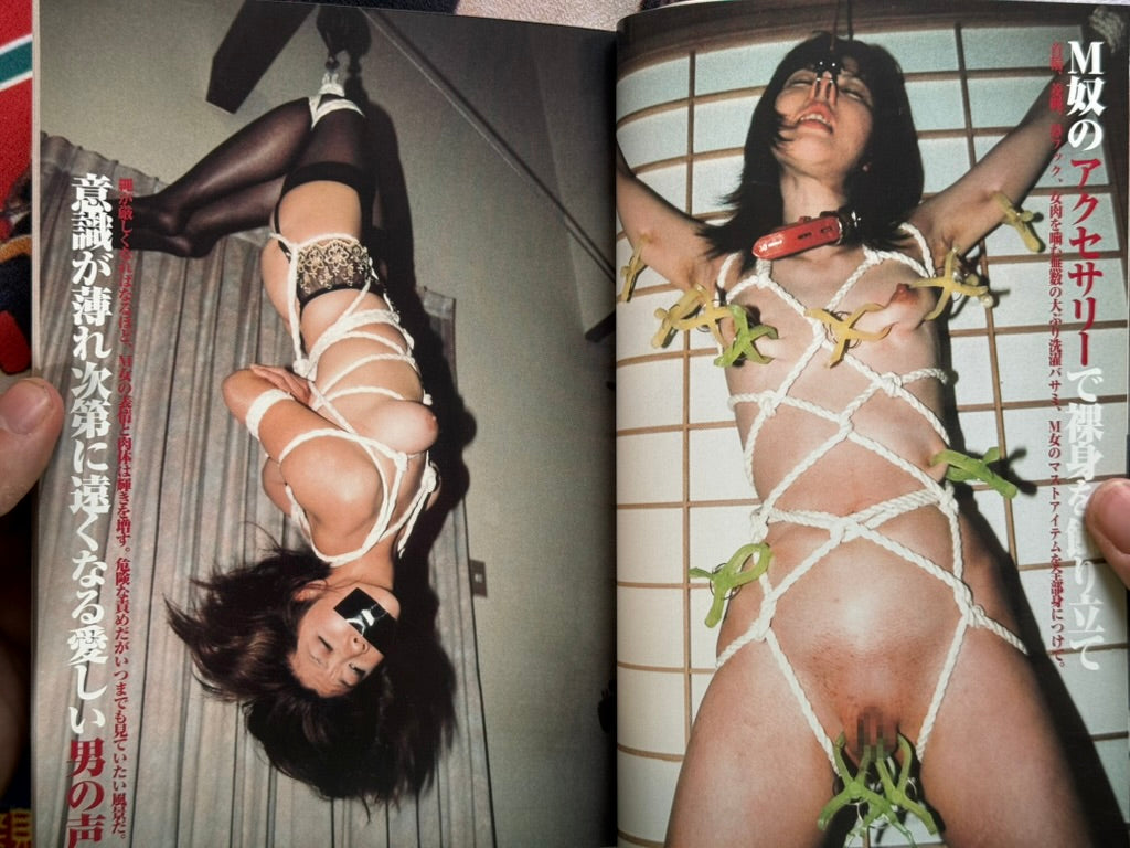 Shima Shiko's Ultimate Bit Bod Training w/DVD (2007)-thumbmail-3