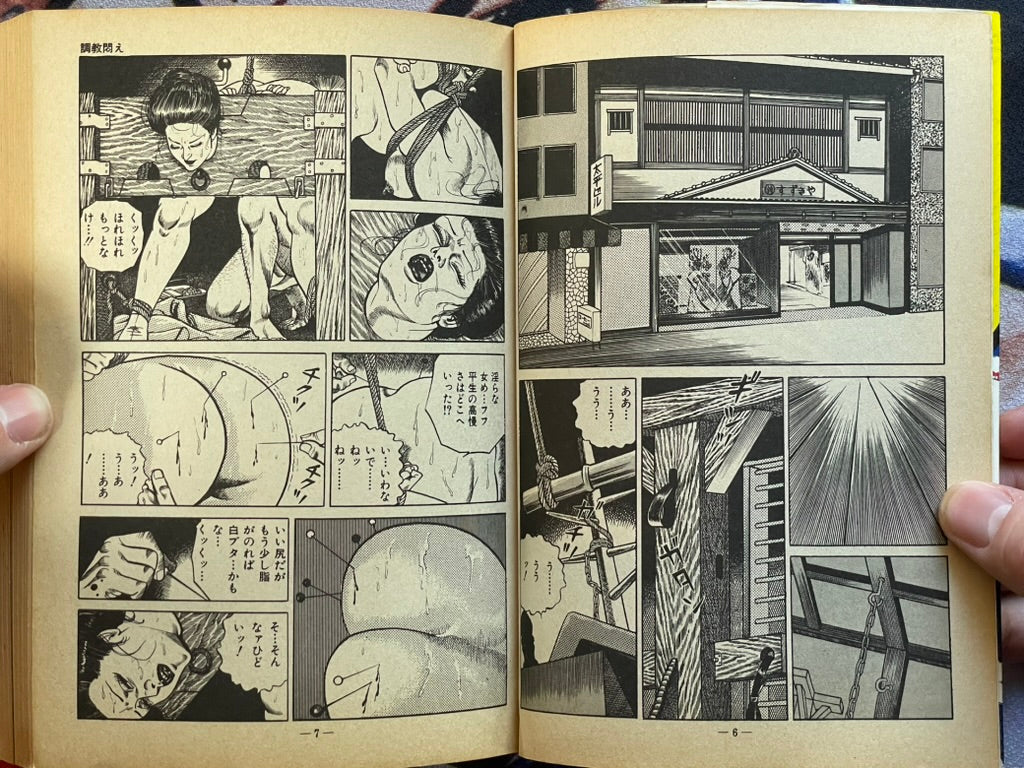 Moan at the Whip by Sugawara Takuya (1981)