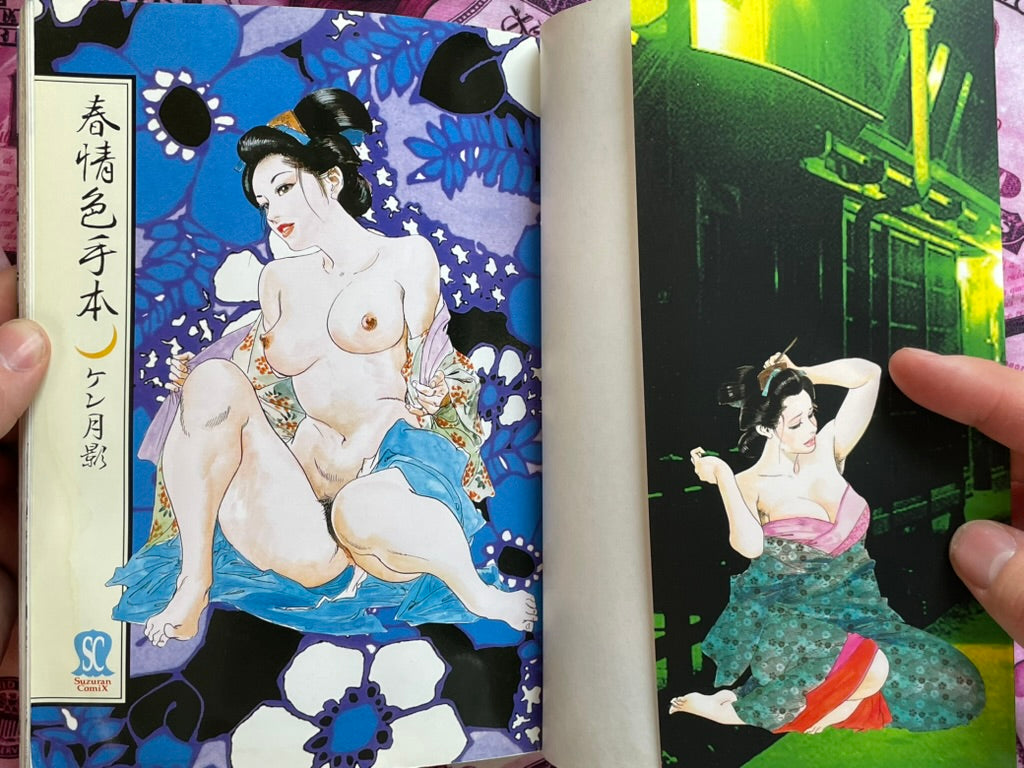 Passionate Sexy Example by Ken Tsukikage (1999)