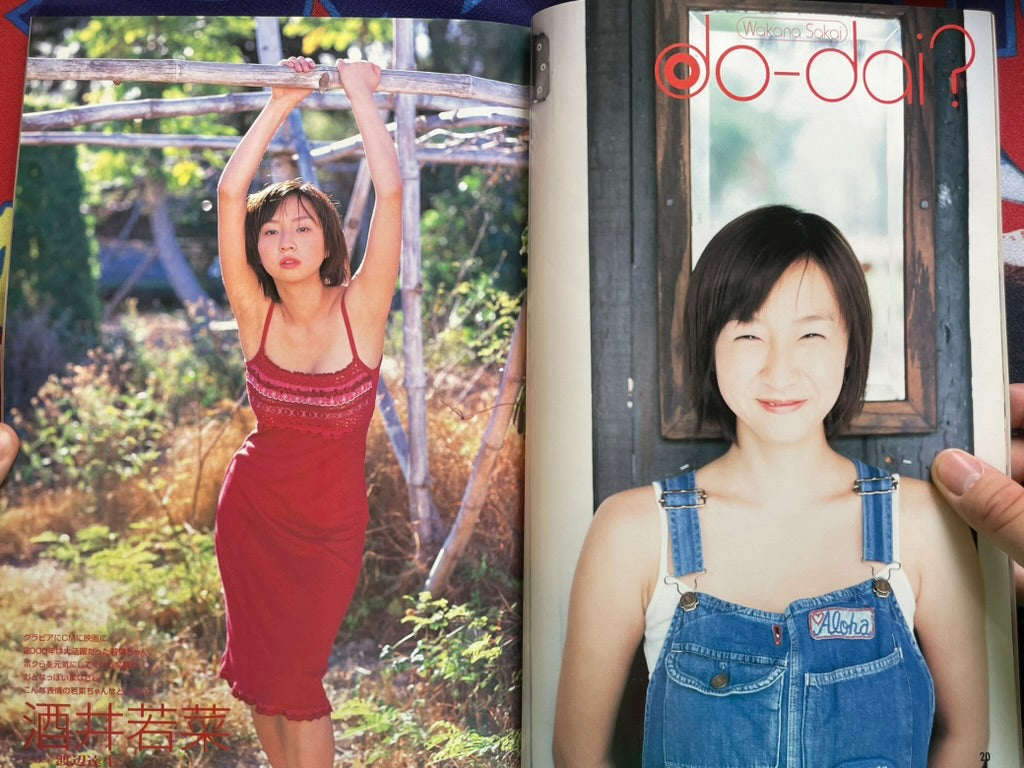 Wani Mook: Best Shot!! Vol. 9 (2001)